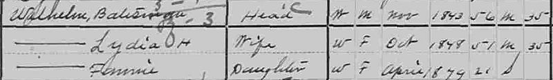 File:1900 New Mexico Grant Upper Gila Census cropped.jpg