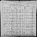 1900 New Mexico Grant Upper Gila Census.jpg